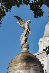 Anioł, Cmentarz Recoleta, Buenos Aires, Argentyna © Rafał Bachanek