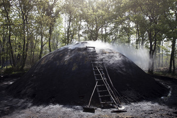 Wood charcoal making, forestry and forestry products
