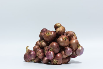 Group of red onion on white background,selective focus.