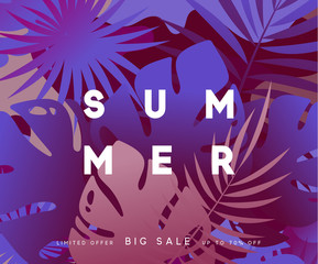 Summer banner tropical background