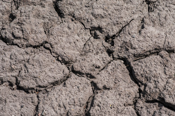 Very dry land in the garden close-up