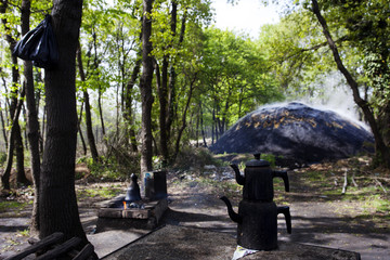 Wood charcoal making, forestry and forestry products
