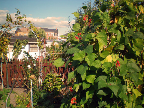 Garten dig_0208