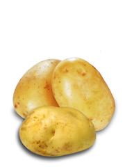 Fresh potato isolated against the white background