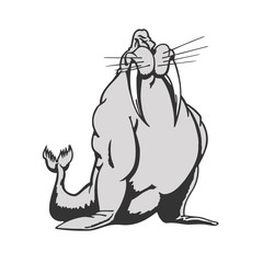 seal cartoon characters. Animal cartoon character Vector Illustration.