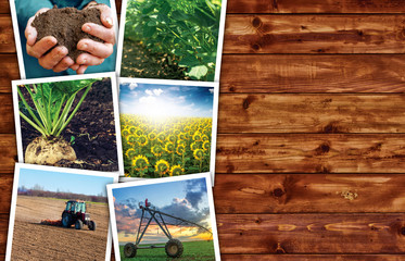 Agriculture and farming photo collage