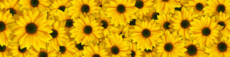 Yellow flowers - 155462705