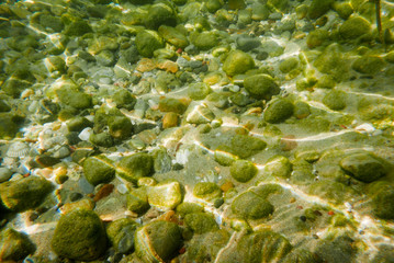 Underwater stones background in green and blue tone.