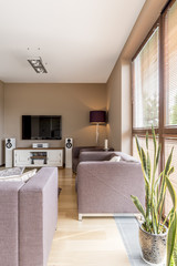 Room with grey sofas and tv set