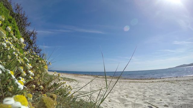 White sand in Alghero shore