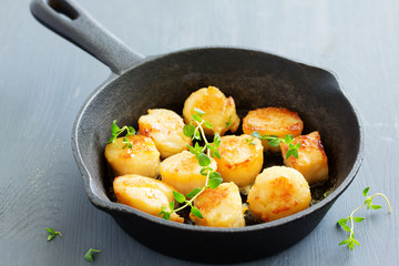 Scallops fried in cream sauce with herbs.
