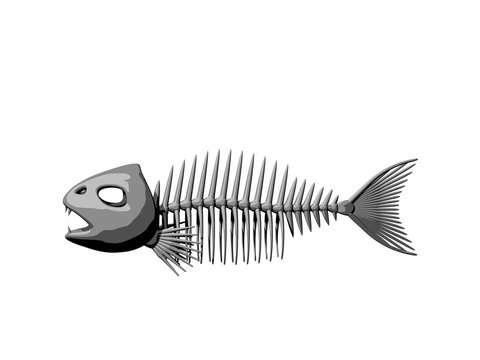Fish skeleton. Isolated on white background. 3D rendering illustration.