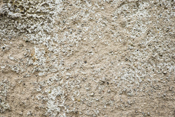 Wall of cement