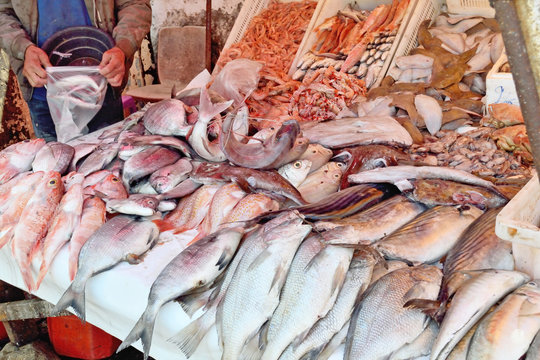 Sale of freshly caught fish in the market