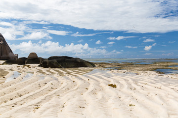 rocks on seychelles island beach in indian ocean