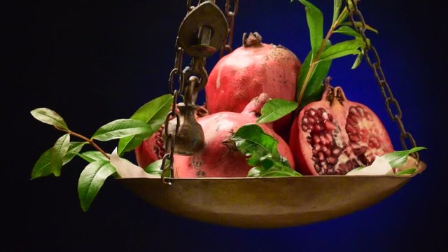 Punica granatum Granaattiomena Granatapfel Melograno &Rho;&omicron;&delta;&iota;ά Grenadier commun Granado Pomegranate Gr&aacute;n&aacute;talma Granat właściwy Shega 石榴 Lựu Նռնենի Video Granaattiomena