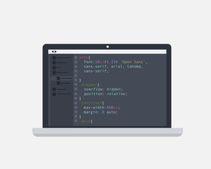 Programming and coding concept. Code on the screen laptop. Flat vector illustration