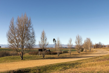 Obraz premium Rural Dirt Road Running Through Dry Winter Landscape