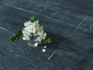 One tiny vase of hawthorn blossom on a blackboard