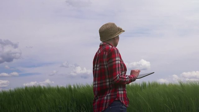 Female farmer using tablet computer in wheat crop field, concept of modern smart farming by using electronics, technology and mobile apps in agricultural production