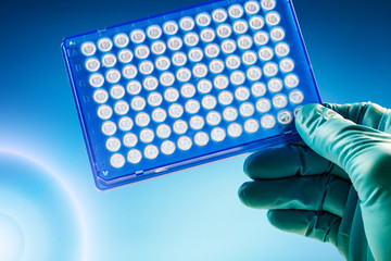 Scientist in laboratory holding a 96 well plate for PCR analysis and research in the microbiological lab Samples microplate