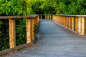 Wooden bridge on a green background