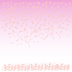 Falling, flying petals of roses, cherry blossoms, cherries, apricots, apple-trees. Whirlwind, wedding background