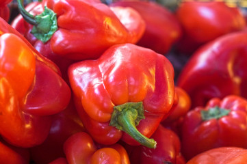 Red Bell Peppers #1