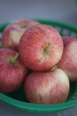 Basket of Apples