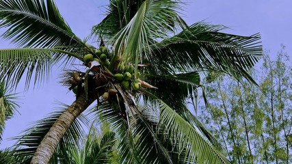 Bangkok Lumpini Park &agrave; Saton - Silom