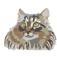 cat animal fluffy cats pet head kitten drawing wild Siberian isolated domestic mammal animals pets cartoon sketch watercolor illustration cute tiger   © Елена Пахмутова