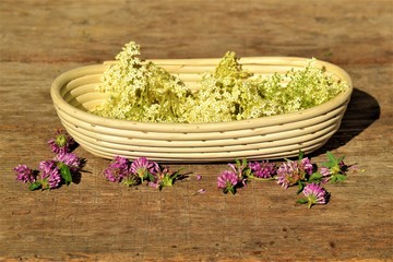 Korb mit Holunderblüten