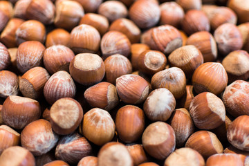 Organic Hazelnut Background. Stack of Raw Hazelnuts Close Up.