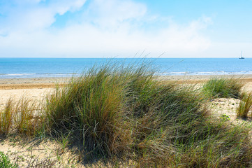 Fototapeta na wymiar View of wild beach, sea and blue sky with clouds.