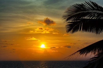 Beautiful sunset with palm