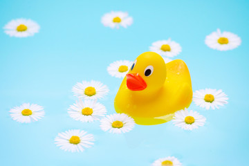 baby bath with chamomile flowers and a duck