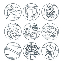immune system icon set