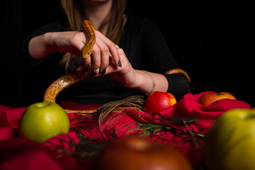 Girl controls a snake in her hands over the table