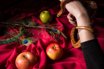 The snake leaned over the table to poison the apple