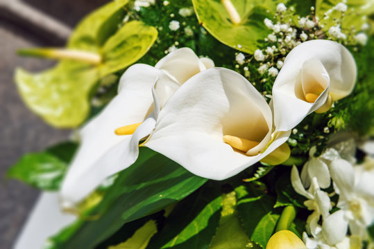 Flower arrangement with white arums