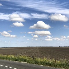 Farm Clouds