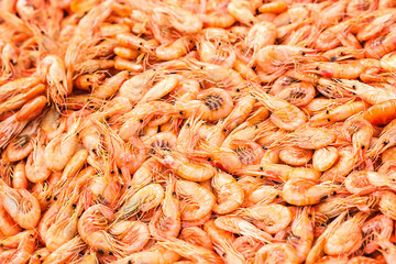 Shrimps background texture. A lot of sea shrimp or pattern of krill. Sea food like shrimp or krill...