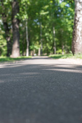 Natural background. An asphalted road in a park surrounded by trees. Vertical frame