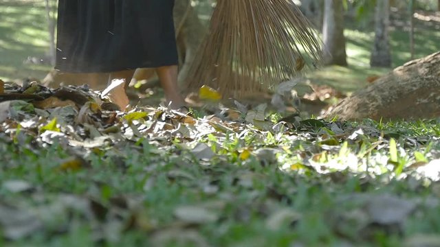 Female indian janitor in the park sweeps the leaves rakes during the day. Cleaning area from fall leaves. Slow motion