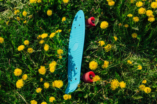 Blue Penny Board With Pink Wheels.