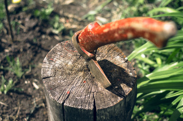Axe in stump. Chopping wood concept.