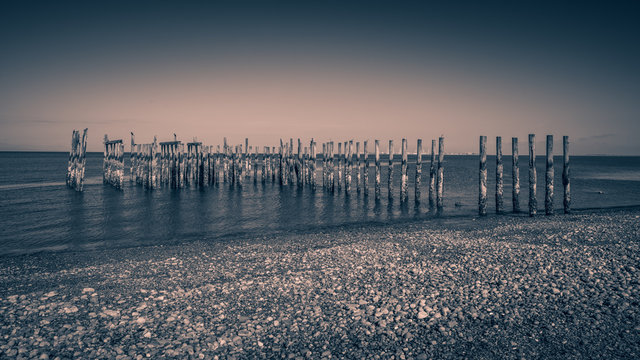 Fototapeta  pilings at the ocean with black and white backgrounds at Point Roberts,USA