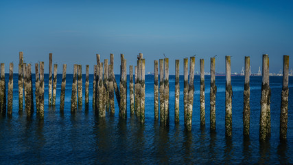  pilings at the ocean with blue sky backgrounds at Point Roberts,USA