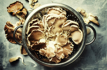 Fresh raw oyster mushrooms in a colander, food background, top view