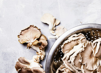 Fresh raw oyster mushrooms in a colander, food background, top view